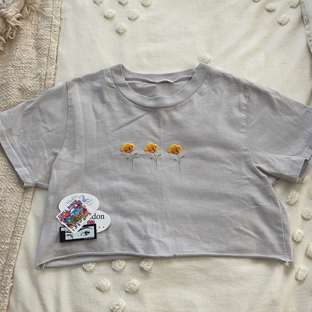 brandy melville poppy cropped tee